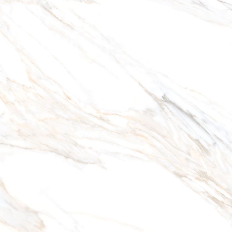 Aurum Calacatta Polished 36 x 36